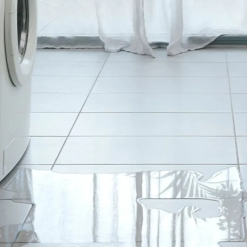 Appliance Leak Cleanup in Saint Peter, MN