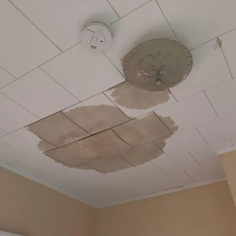 Ceiling Water Damage Repair in Saint Peter, MN