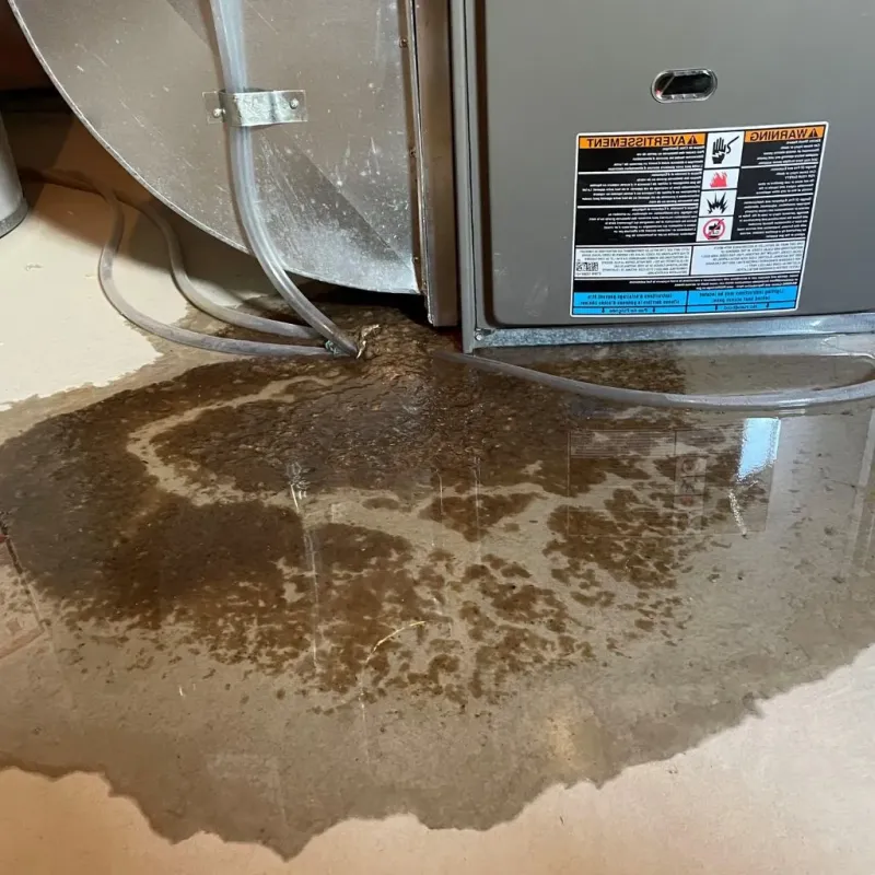 Pipe Burst and Leak Restoration in Saint Peter, MN