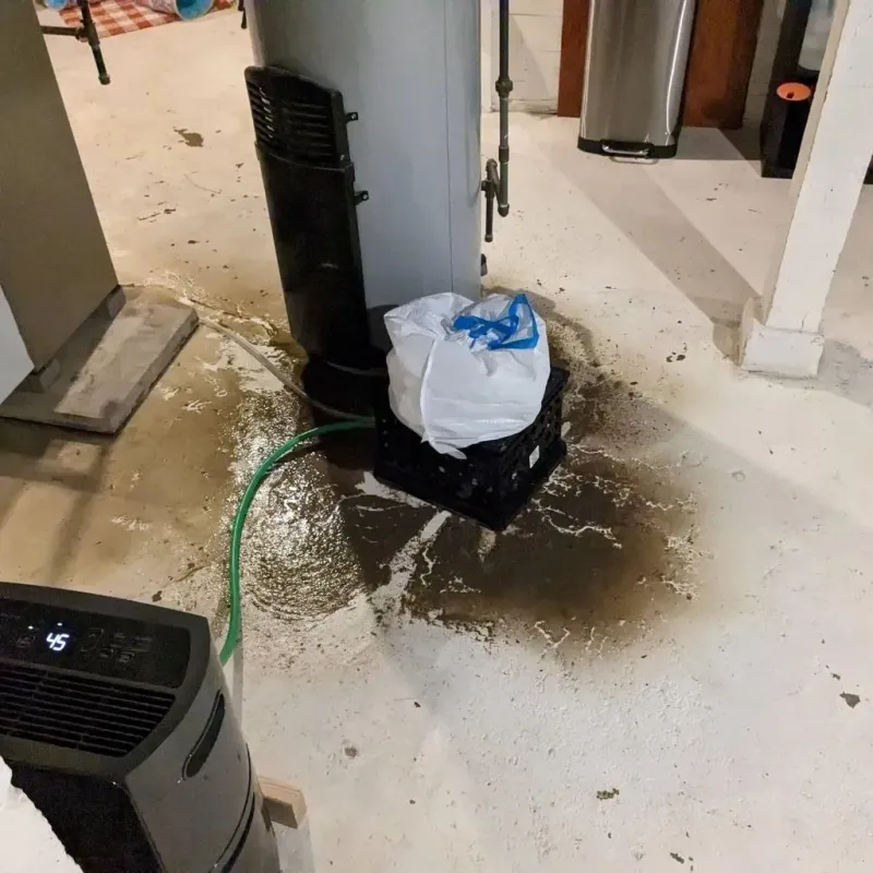 Sewage Backup Cleanup Service in Saint Peter, MN
